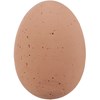 Speckled Decorative Eggs - Foam