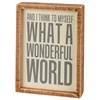 Wonderful World Inset Box Sign - Wood